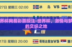 世界杯网易彩票投注-世界杯，激情与梦想的交织之地