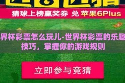 世界杯彩票怎么玩儿-世界杯彩票的乐趣与技巧，掌握你的游戏规则