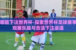 在哪能下注世界杯-探索世界杯足球赛事的观赛乐趣与合法下注渠道