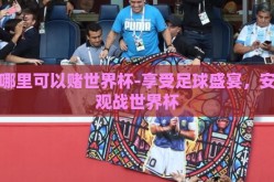 在哪里可以赌世界杯-享受足球盛宴，安全观战世界杯