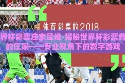 世界杯彩票庄家是谁-揭秘世界杯彩票背后的庄家——专业视角下的数字游戏