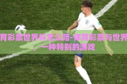 体育彩票世界杯怎么赔-体育彩票与世界杯，一种特别的游戏