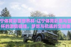辽宁体育彩票世界杯-辽宁体育彩票与世界杯的激情碰撞，梦想与机遇的交响曲