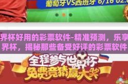 世界杯好用的彩票软件-精准预测，乐享世界杯，揭秘那些备受好评的彩票软件