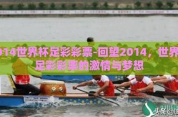 2014世界杯足彩彩票-回望2014，世界杯足彩彩票的激情与梦想