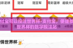 支付宝可以投注世界杯-支付宝，便捷参与世界杯的数字投注站