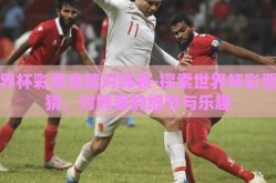 世界杯彩票竞猜对阵表-探索世界杯彩票竞猜，对阵表的细节与乐趣