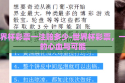 世界杯彩票一注赔多少-世界杯彩票，一注的心血与可能
