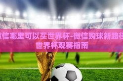 微信哪里可以买世界杯-微信购球新路径，世界杯观赛指南