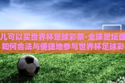 哪儿可以买世界杯足球彩票-全球足坛盛宴，如何合法与便捷地参与世界杯足球彩票购买指南