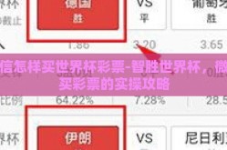 微信怎样买世界杯彩票-智胜世界杯，微信买彩票的实操攻略