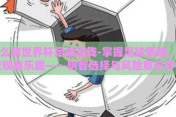 怎么赌世界杯足球赢钱-掌握足球策略，享受观赛乐趣——明智选择与风险意识并重
