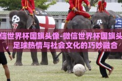 微信世界杯国旗头像-微信世界杯国旗头像，足球热情与社会文化的巧妙融合
