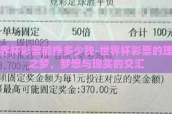 世界杯彩票能挣多少钱-世界杯彩票的理财之梦，梦想与现实的交汇
