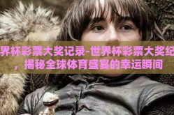 世界杯彩票大奖记录-世界杯彩票大奖纪录，揭秘全球体育盛宴的幸运瞬间