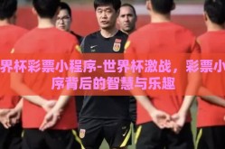 世界杯彩票小程序-世界杯激战，彩票小程序背后的智慧与乐趣
