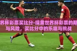 世界杯彩票买比分-探索世界杯彩票的期待与风险，买比分中的乐趣与挑战