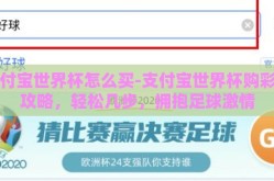支付宝世界杯怎么买-支付宝世界杯购彩全攻略，轻松几步，拥抱足球激情