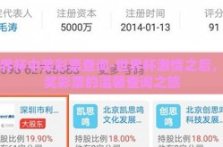 世界杯中奖彩票查询-世界杯激情之后，中奖彩票的温馨查询之旅