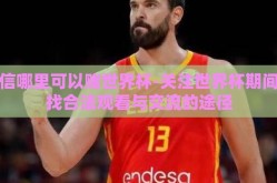 微信哪里可以赌世界杯-关注世界杯期间寻找合法观看与交流的途径
