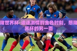 想赌世界杯-追逐激情的金色时刻，想赌世界杯的另一面