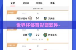 世界杯体育彩票软件-