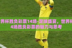 世界杯胜负彩票14场-足球盛宴，世界杯14场胜负彩票的魅力与思考