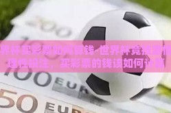 世界杯买彩票如何算钱-世界杯竞技激情与理性投注，买彩票的钱该如何计算