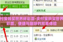 支付宝购买世界杯彩票-支付宝购买世界杯彩票，便捷与趣味的双重体验