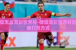 微信怎么竞彩世界杯-微信竞彩世界杯的正确打开方式