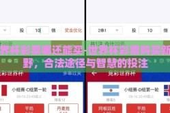 世界杯彩票哪还能买-世界杯彩票购买新视野，合法途径与智慧的投注