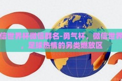 微信世界杯微信群名-勇气杯，微信世界杯，足球热情的另类燃放区