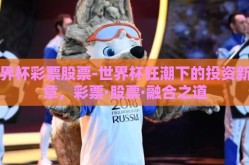 世界杯彩票股票-世界杯狂潮下的投资新篇章，彩票·股票·融合之道