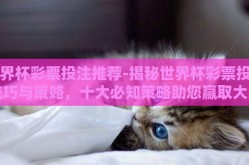 世界杯彩票投注推荐-揭秘世界杯彩票投注技巧与策赂，十大必知策略助您赢取大奖