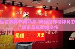 微信世界杯体育彩票-微信世界杯体育彩票，娱乐与风险的交织