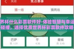 世界杯什么彩票软件好-体验智慧与幸运的碰撞，选择优质世界杯彩票软件攻略