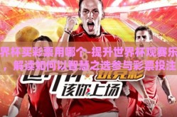 世界杯买彩票用哪个-提升世界杯观赛乐趣，解读如何以智慧之选参与彩票投注