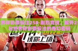 世界杯彩票投注258-剧烈竞技，解开258与世界杯彩票投注的奇幻密码