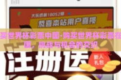 购买世界杯彩票中国-购买世界杯彩票在中国，挑战与机会的交织
