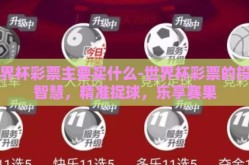 世界杯彩票主要买什么-世界杯彩票的投注智慧，精准捉球，乐享赛果
