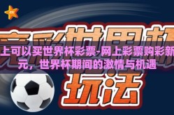 网上可以买世界杯彩票-网上彩票购彩新纪元，世界杯期间的激情与机遇