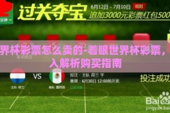 世界杯彩票怎么卖的-着眼世界杯彩票，深入解析购买指南