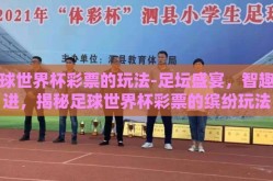 足球世界杯彩票的玩法-足坛盛宴，智趣并进，揭秘足球世界杯彩票的缤纷玩法