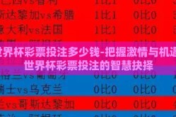 世界杯彩票投注多少钱-把握激情与机遇，世界杯彩票投注的智慧抉择