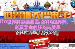 2010世界杯彩票奖金-2010世界杯，一场彩票奖金的狂欢与梦想