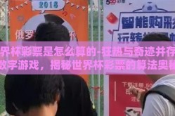 世界杯彩票是怎么算的-狂热与奇迹并存的数字游戏，揭秘世界杯彩票的算法奥秘