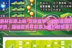 世界杯彩票上税-足球盛事，激情邂逅财富梦想，揭秘世界杯彩票上税的那些事儿
