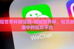 微信世界杯微信群-微信世界杯，社交新热潮中的狂欢平台