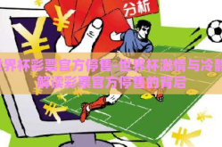 世界杯彩票官方停售-世界杯激情与冷静，解读彩票官方停售的背后