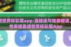 靠谱世界杯彩票app-当球迷与赌局相遇，理性审视靠谱世界杯彩票App
